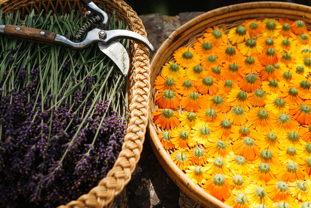 Biodynamic Lavender and Calendula